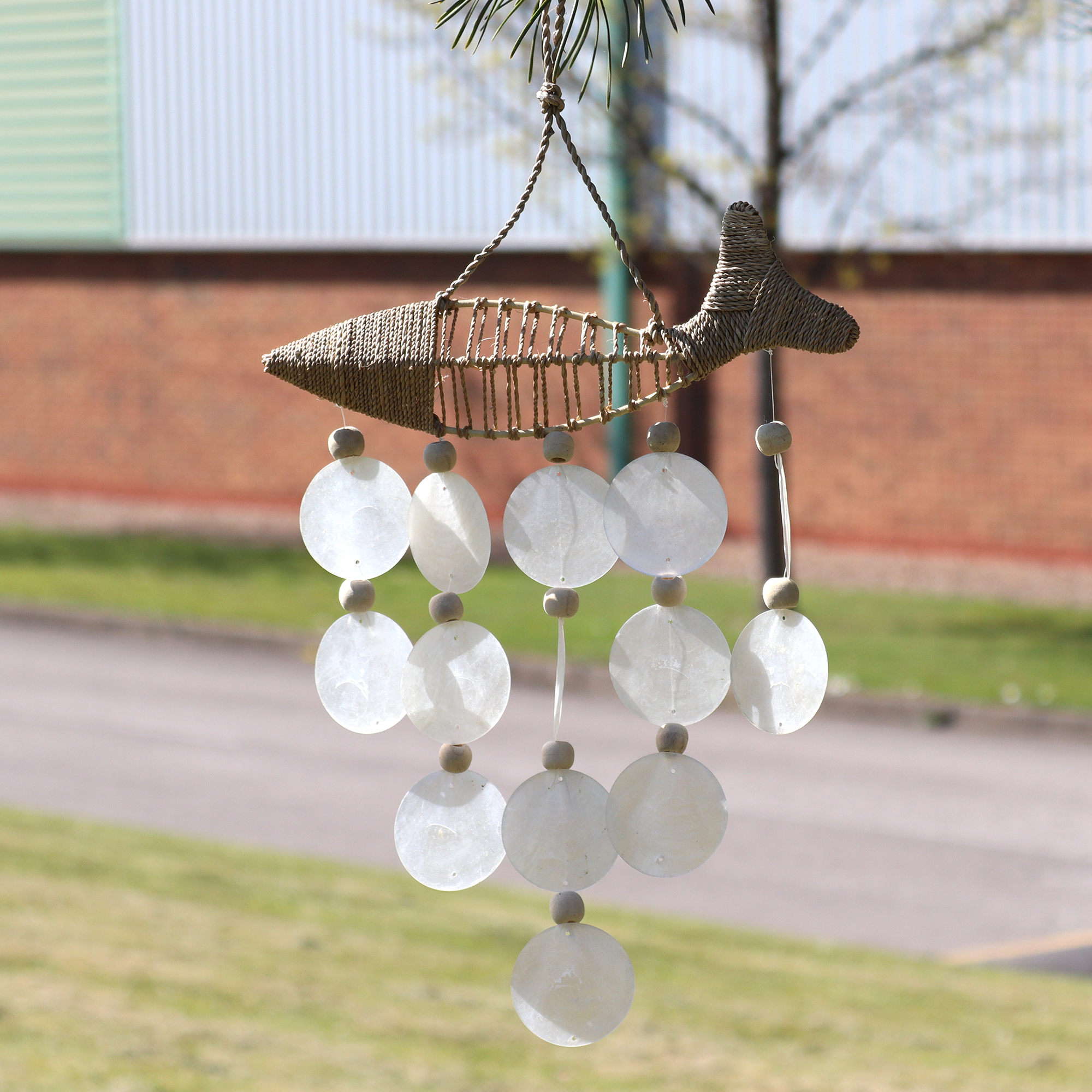 Prepletaná Ryba a Prírodné Kvapky Mušle