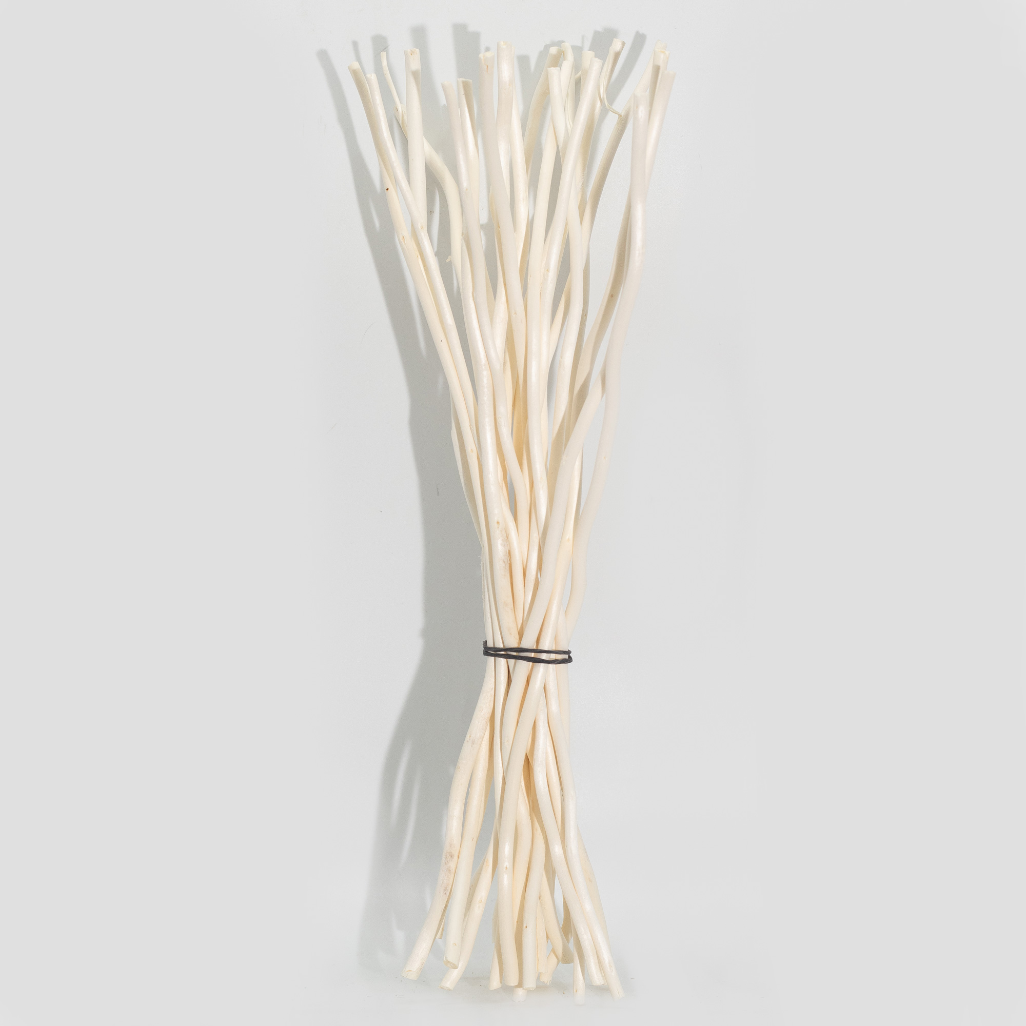 Zväzok (cca 4 mm x 30 cm) – (cca 50) – Vŕbových Konárov